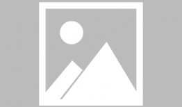 兔子漫画,趣味横生的动物世界